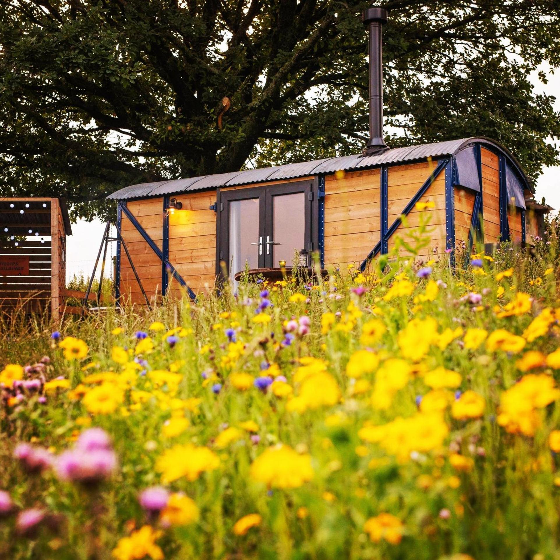 Under The Oak Glamping Hotell Caerphilly Exteriör bild